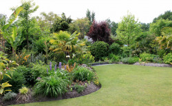 Création de jardin  à Saint-Cyr-sur-Mer