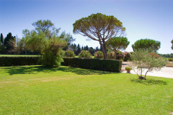 Débroussaillage à Aubagne